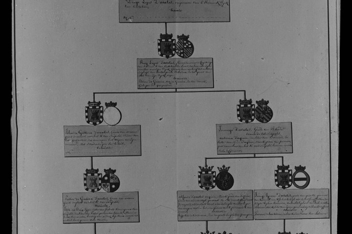 Glasnegatief van foto van producten uit de Cuypers' Kunstwerkplaatsen uit kist met nummer 24: "Afbeelding van een stamboom".