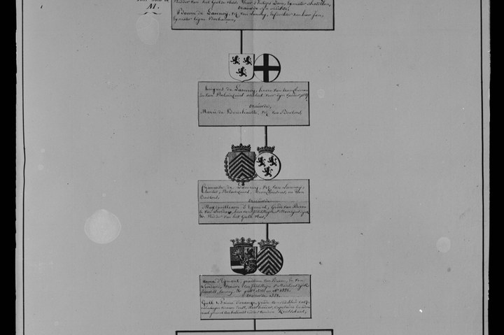 Glasnegatief van foto van producten uit de Cuypers' Kunstwerkplaatsen uit kist met nummer 24: "Afbeelding van een stamboom".