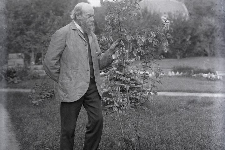 Glasnegatief van een foto met Pierre Cuypers in de tuin