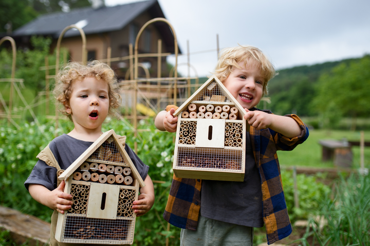 Ontwerp je eigen Insectenhuis